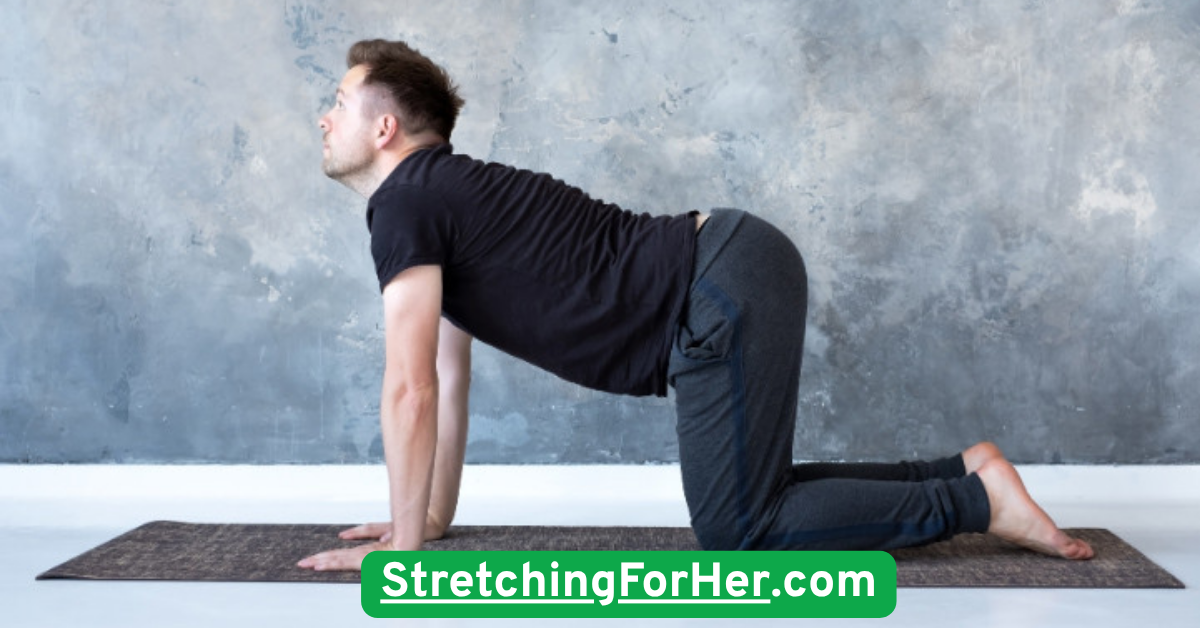  Cat-Cow Flow for Spinal Relief
