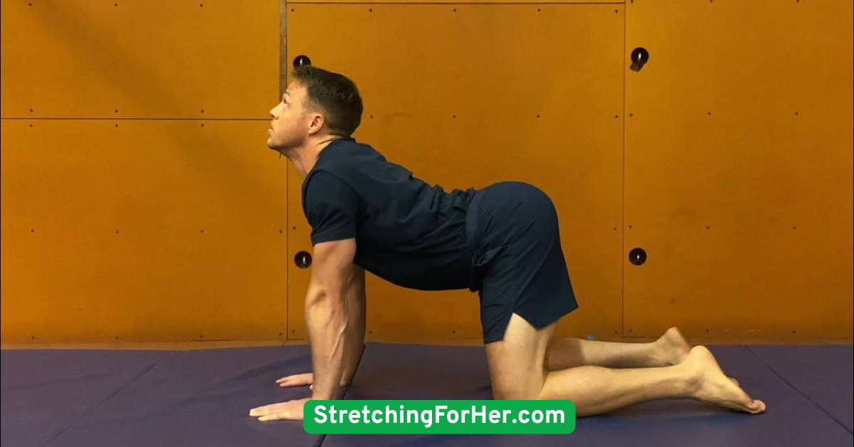 Cat-Cow Flow for Spine Health